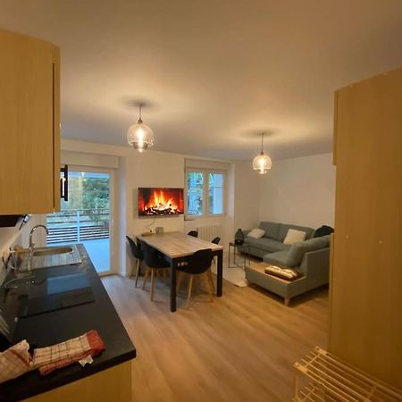 Appartement Chaleureux Au Pied Des Pistes Orbey Exteriér fotografie