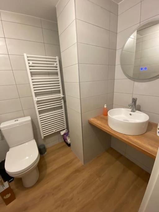 Appartement Chaleureux Au Pied Des Pistes Orbey Exteriér fotografie