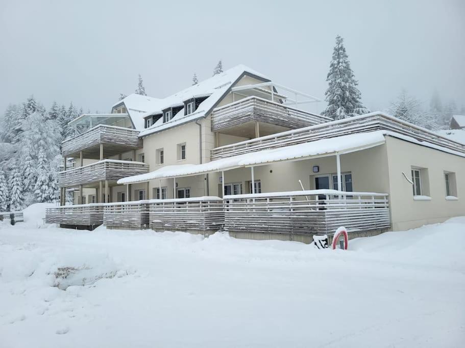 Appartement Chaleureux Au Pied Des Pistes Orbey Exteriér fotografie