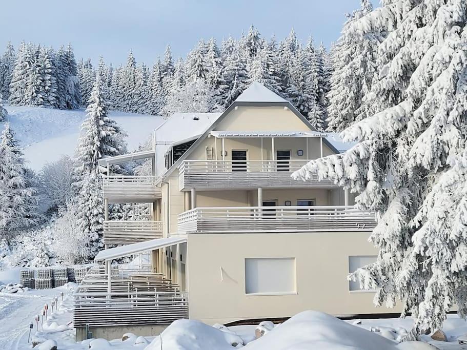 Appartement Chaleureux Au Pied Des Pistes Orbey Exteriér fotografie